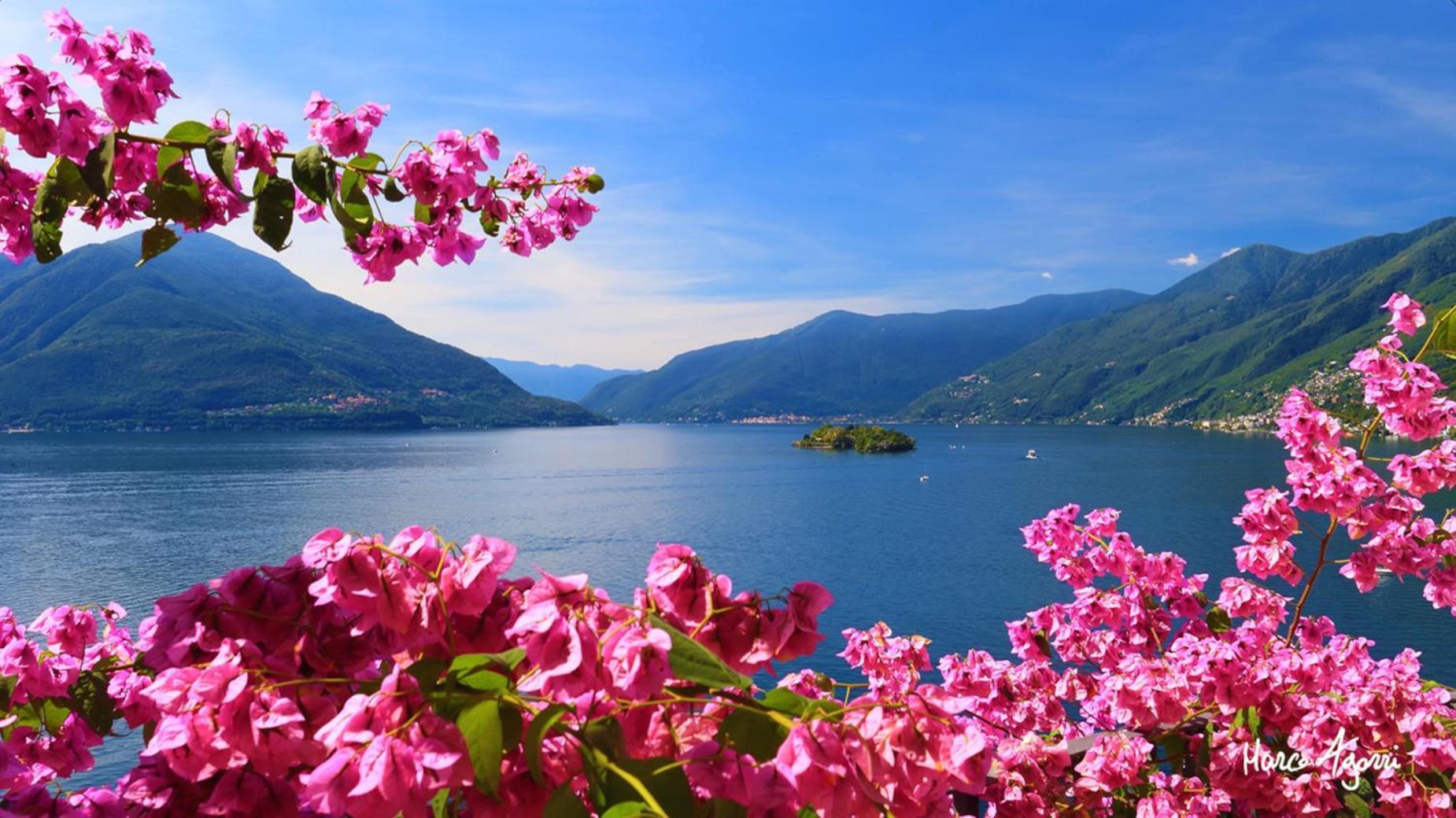 Charme Hotel Al Torchio Ascona Eksteriør bilde